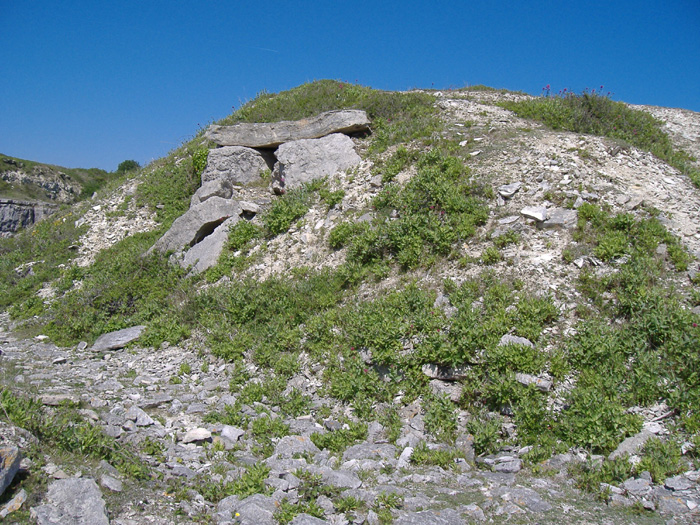 Habitat at Cheyne Weare